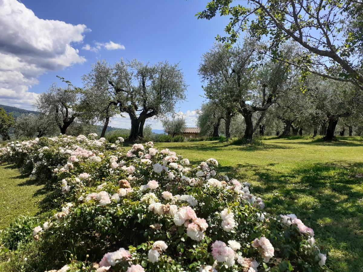 La Fornella Dell'Anita Βίλα Pelago Εξωτερικό φωτογραφία